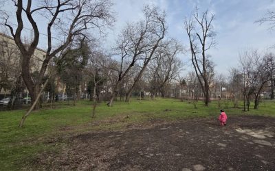 Asociația Părinți de Cireșari trage un semnal de alarmă cu privire la starea precară a Bazei Sportive Cireșarii din Sectorul 1, acuzând blocaje constante și lipsa de reacție din partea instituțiilor responsabile de reabilitarea acesteia