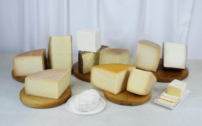 România, pionieră în brânzeturi maturate: Selecție premium, gustată de experți