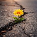 Bunăvoința, ARMĂ secretă în vremuri tulburi: Rezistența prin compasiune în România