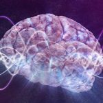 Neuronii nu mai dictează totul: Teoria care zguduie înțelegerea minții