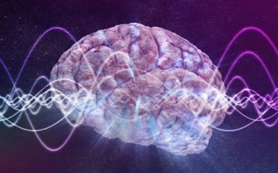 Neuronii nu mai dictează totul: Teoria care zguduie înțelegerea minții