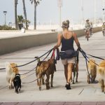 Câți ani de chin? Câinele legat, reguli noi pentru stăpânii din România