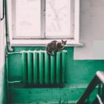 Oradea, gata să reia căldura centralizată: Temperaturi de 2 grade Celsius