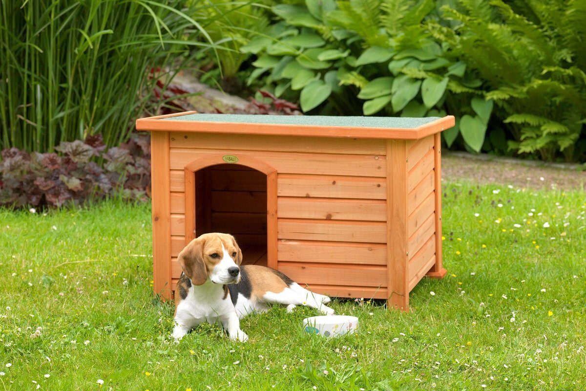 Amenzi usturătoare pentru proprietarii de câini: Ce spune legea despre adăpost, lanț și numărul de animale București – Proprietarii de câini trebuie să fie atenți la noile reglementări privind bunăstarea animalelor, pentru a evita amenzi usturătoare