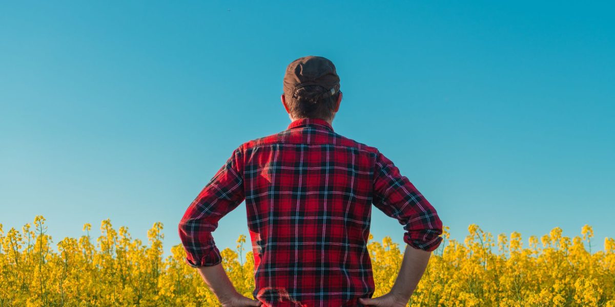 Fenomenul „manosphere”: Politicieni britanici cer măsuri pentru bărbați