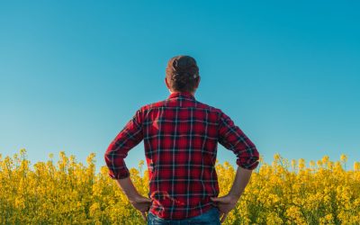 Fenomenul „manosphere”: Politicieni britanici cer măsuri pentru bărbați