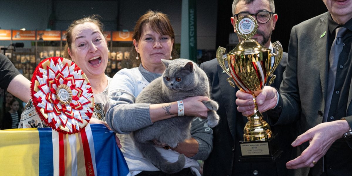 Uimitor! „Ursoaica de Bucovina” cucerește Europa cu frumusețea sa