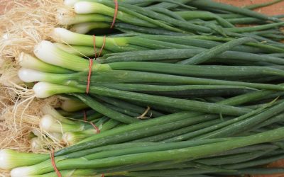 Ceapa verde: Trucul simplu prin care o poți regenera acasă, fără efort Bucătăria românească nu poate fi concepută fără ceapă verde