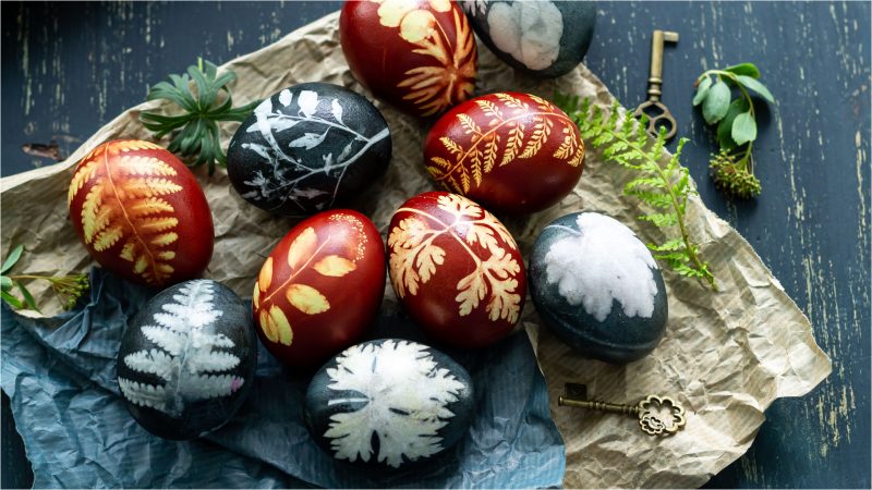 Roșu, mov, galben, albastru: Secretele culorilor dezvăluite