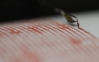 Un cutremur cu magnitudinea 4 s-a produs miercuri dimineață în zona seismică Vrancea, județul Buzău, potrivit datelor oficiale