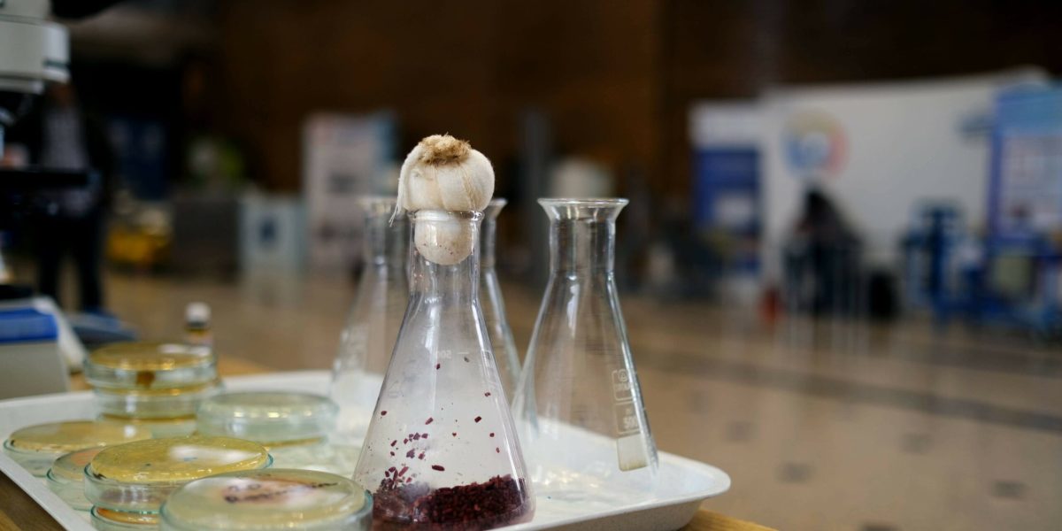 Biofest 2026 la Politehnică: Cum hrănim România și planeta?