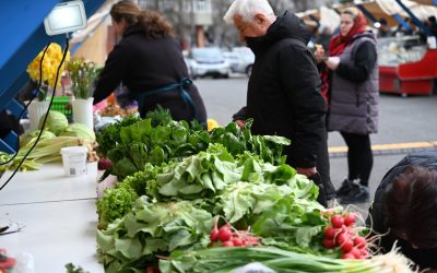 Piața volantă revine în Piața Amzei, cu produse locale proaspete Primăria Sectorului 1 organizează o nouă ediție a pieței volante în Piața Amzei, începând de vineri, 29 martie