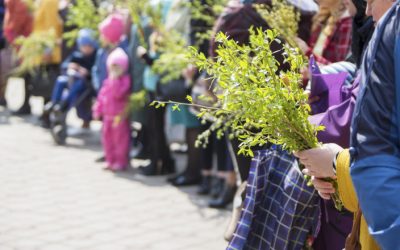 De la Ramurile de Finic la Salcia de Florii: O Tradiție Seculară În Duminica Floriilor, creștinii din întreaga lume sărbătoresc intrarea lui IISUS în Ierusalim