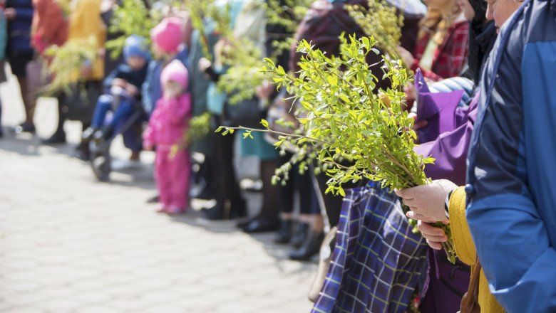 De la Ramurile de Finic la Salcia de Florii: O Tradiție Seculară În Duminica Floriilor, creștinii din întreaga lume sărbătoresc intrarea lui IISUS în Ierusalim