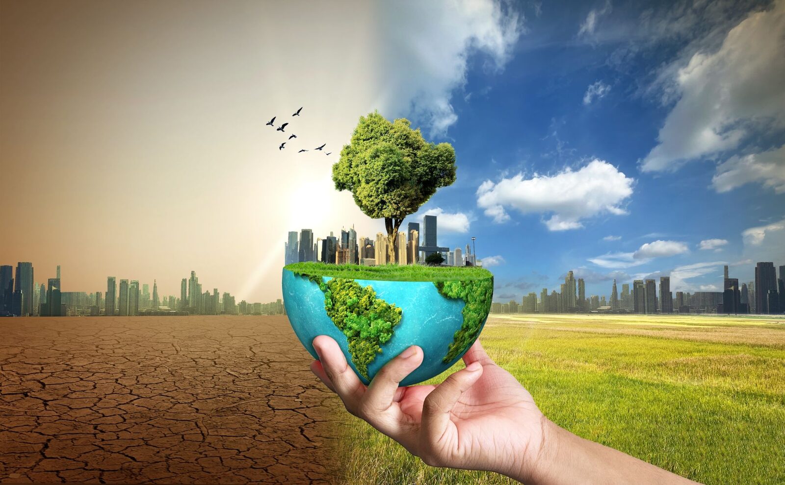 Efectele schimbărilor climatice, resimțite de-a lungul generațiilor Un nou studiu publicat în revista Molecular Biology and Evolution scoate la iveală modul în care schimbările climatice influențează evoluția animalelor