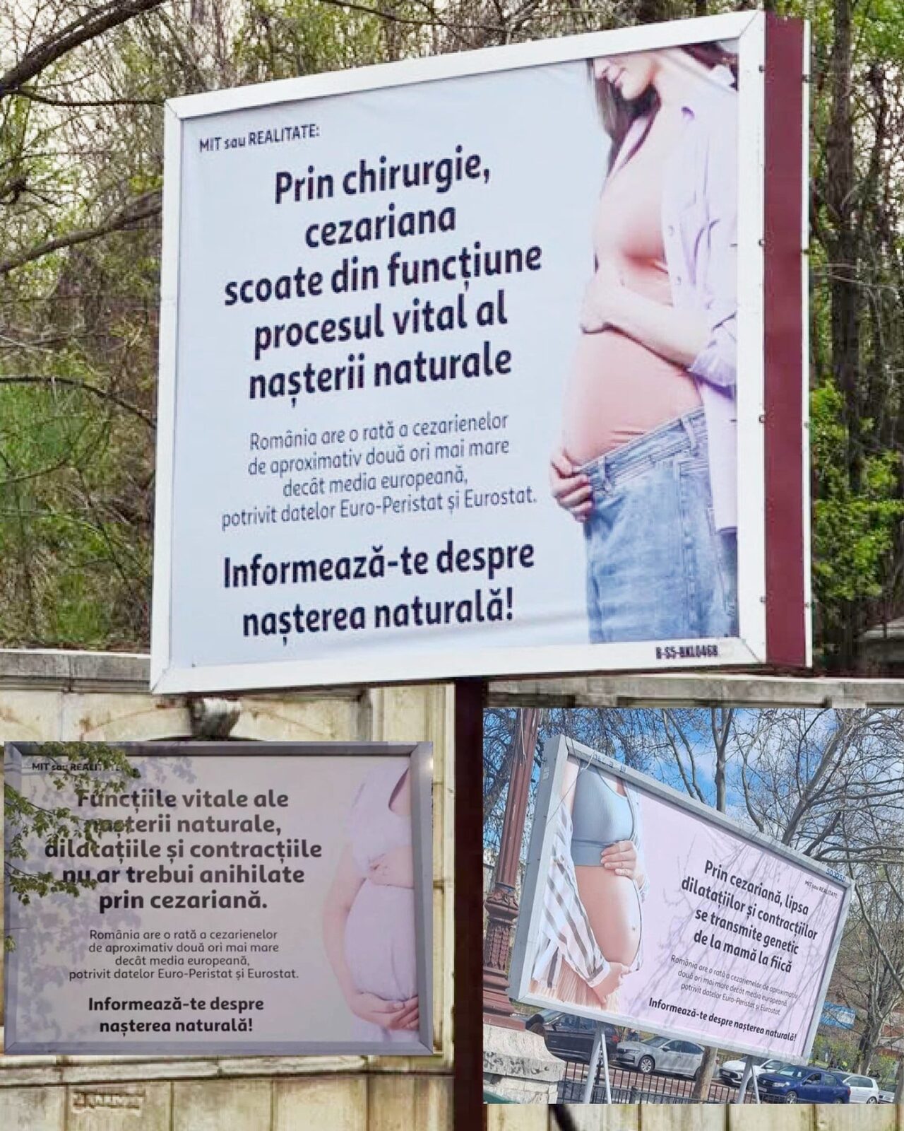 Fundatie cu teorii conspiraționiste ascunsă-n mesajele anti-cezariană