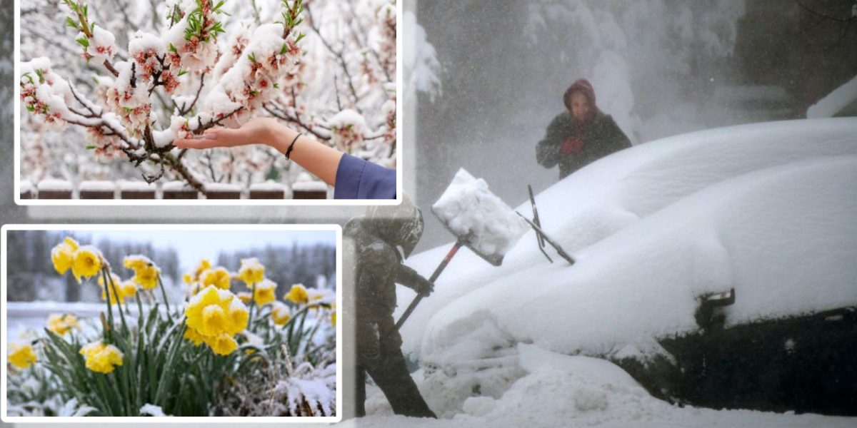 Ninsori de APRILIE în România: ANUNȚUL meteorologilor, din 25 APRILIE