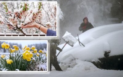 Ninsori de APRILIE în România: ANUNȚUL meteorologilor, din 25 APRILIE