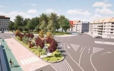 Noi spații verzi în Herăstrău: București se modernizează!