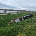 Camion cu oi răsturnat: 160 de animale au murit pe șosea