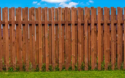 Reguli stricte pentru proprietari: Ce distanță trebuie să respecți când plantezi pomi și cum construiești garduri București – Proprietarii de locuințe trebuie să cunoască și să respecte o serie de reglementări precise privind distanța minimă de plantare a arborilor și construirea gardurilor