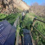 Ministerul Mediului, undă verde pentru noi geoparcuri UNESCO din România