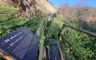 Ministerul Mediului, undă verde pentru noi geoparcuri UNESCO din România