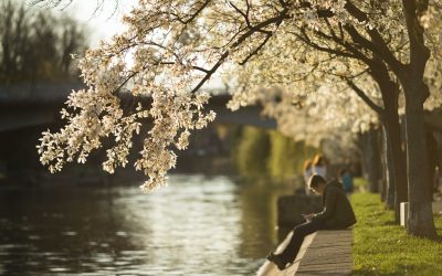 Prognoza meteo de paște: Ce vreme ne așteaptă de sărbători