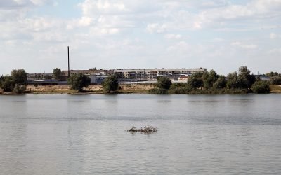 Un mesaj RO-ALERT a fost emis în județul TULCEA în dimineața de marți, după un atac cu drone rusești în apropierea graniței cu Ucraina