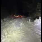 Bărbat și fiul său, blocați în zăpadă în Cheile Oltețului, în Noaptea de Înviere
