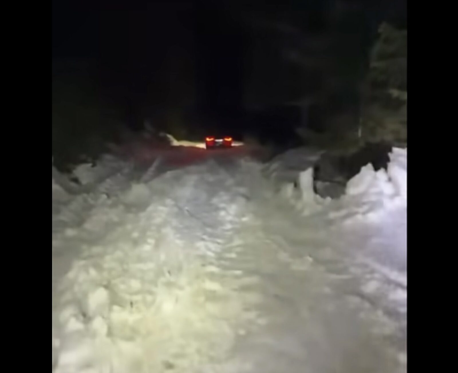 Bărbat și fiul său, blocați în zăpadă în Cheile Oltețului, în Noaptea de Înviere