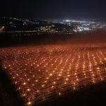 Cum protejează o fermă din Cluj culturile de îngheț: Lumânări speciale