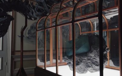 O geantă de mână, confecționată dintr-un material inedit, derivat din colagenul fosilelor de Tyrannosaurus rex, va fi scoasă la licitație pentru o sumă estimată la peste jumătate de milion de dolari