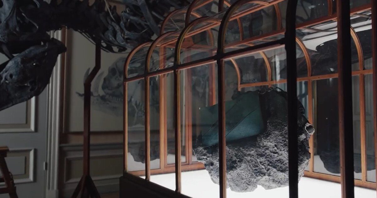 O geantă de mână, confecționată dintr-un material inedit, derivat din colagenul fosilelor de Tyrannosaurus rex, va fi scoasă la licitație pentru o sumă estimată la peste jumătate de milion de dolari
