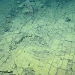 Au găsit Atlantida? Cercetătorii, șocantă descoperire la 3.000m adâncime
