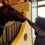 Lavezzi, internat într-o clinică: ”Drumul meu nu s-a încheiat”. Problemele atacantului