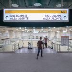 București: Stațiile de metrou, transformate în pisici adorabile. „Fiecare are o poveste”