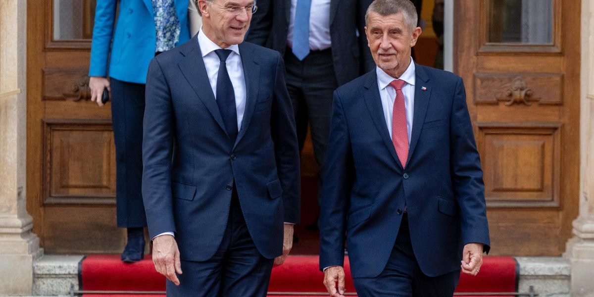 Babis, despre NATO: Cehia face sacrificii, dar taie fondurile Apărării
