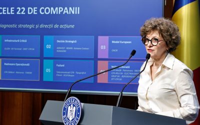 Oana Gheorghiu: „Jaf la vedere! Hoții demontează conductă, statul plătește”