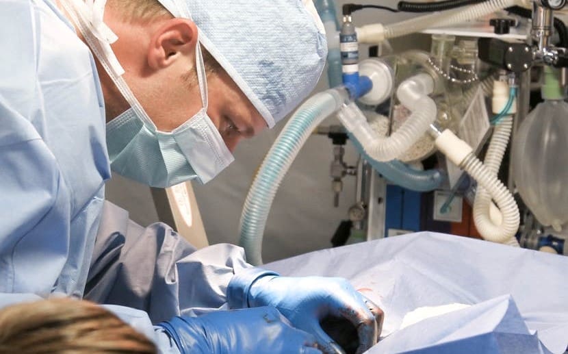 Moartea asistată, respinsă în Anglia și Țara Galilor: Ce se întâmplă acum