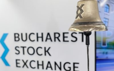 Fidelis în euro: Suspiciuni pe bursă