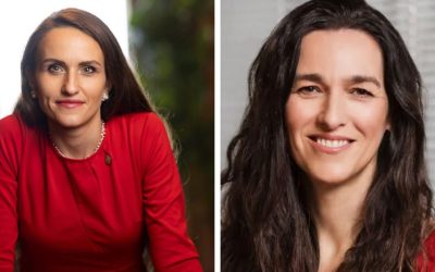 Oana Țoiu, dialog cu viitorul ministru de Externe al Ungariei: Schimbare de viziune