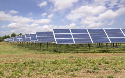 O companie austriacă de energie regenerabilă atrage un investitor strategic pentru un proiect major în România Compania austriacă Kraftfeld Energy, cu proiecte de peste 1 GW în dezvoltare în România, a reușit să atragă un investitor strategic într-un proiect hibrid de 126 MW/200 MWh