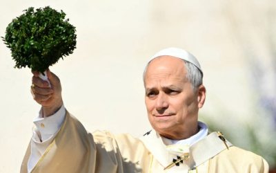 Papa LEO XIV transmite un mesaj de speranță în contextul războiului și al schimbărilor climatice, la prima sa slujbă de Paște Roma, Italia – În prima sa predică de Paște de când a devenit Suveran Pontif, Papa LEO XIV a subliniat importanța menținerii speranței în fața violenței provocate de războaie, a schimbărilor climatice și a altor forme de suferință