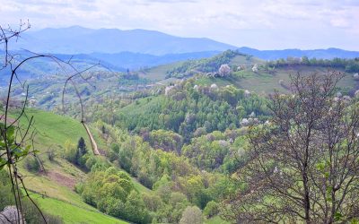 Zile libere pentru români: Paște, Rusalii și o toamnă generoasă în 2026 Anul 2026 se anunță a fi unul generos pentru angajații din România, cu multiple zile libere legale care vor oferi oportunități de relaxare și petrecerea timpului cu cei dragi