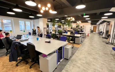 Pentalog România, în cădere liberă: Număr minim de angajați din 2014