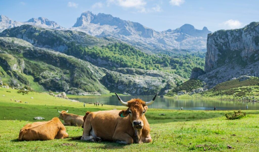 Locul din Europa, ascuns ochilor, e cel mai frumos din lume
