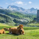 Locul din Europa, ascuns ochilor, e cel mai frumos din lume