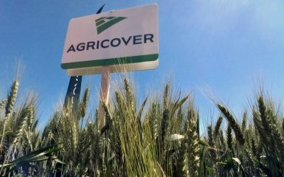 Agricover: Profit net de 103,9 milioane lei, în creștere cu 12% față de 2024