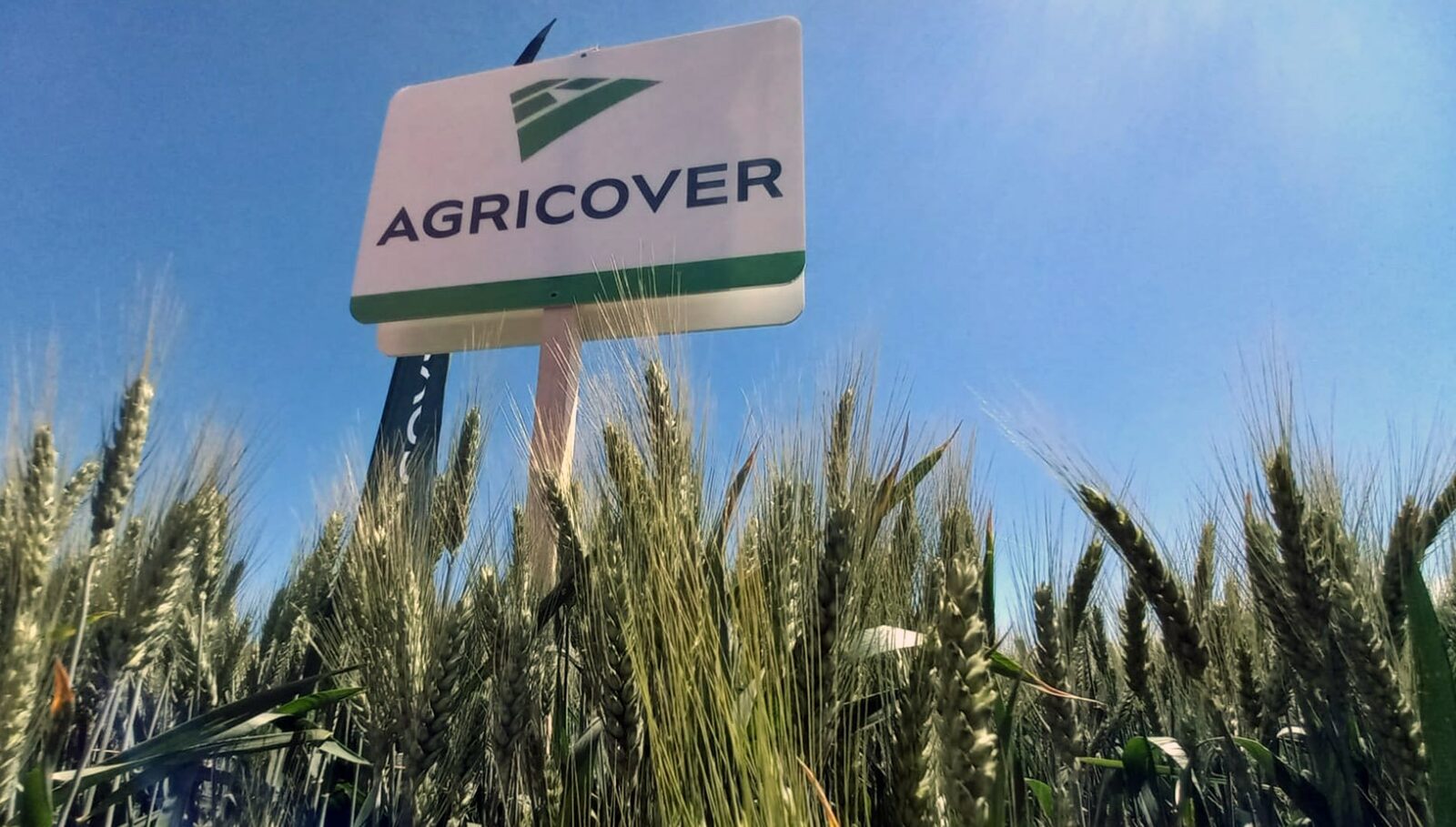 Agricover: Profit net de 103,9 milioane lei, în creștere cu 12% față de 2024